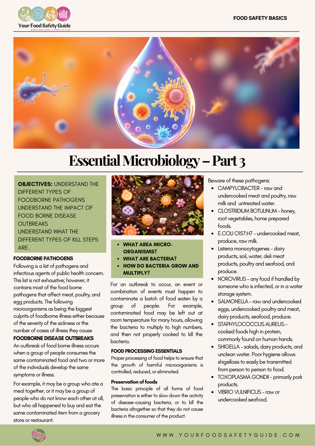 The Essential Microbiology Cheat Sheet for Food Entrepreneurs